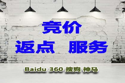 成功案例：一家初创企业如何通过百度关键词推广快速崛起