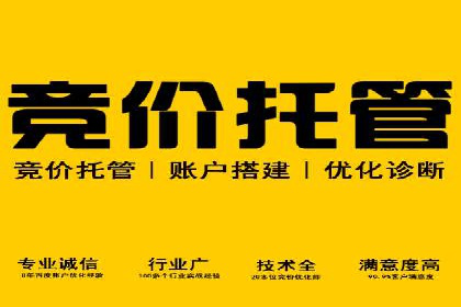 SEM主管案例分析：优化策略